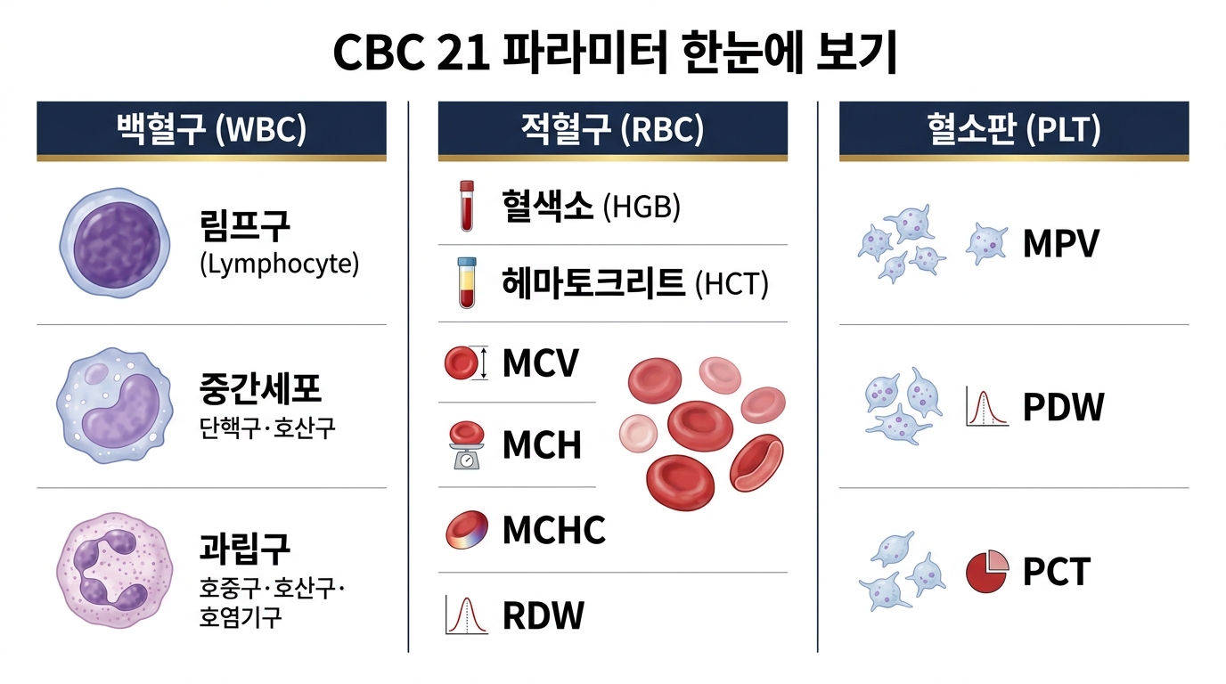 CBC 21 파라미터 한눈에 — 백혈구·적혈구·혈소판 지표