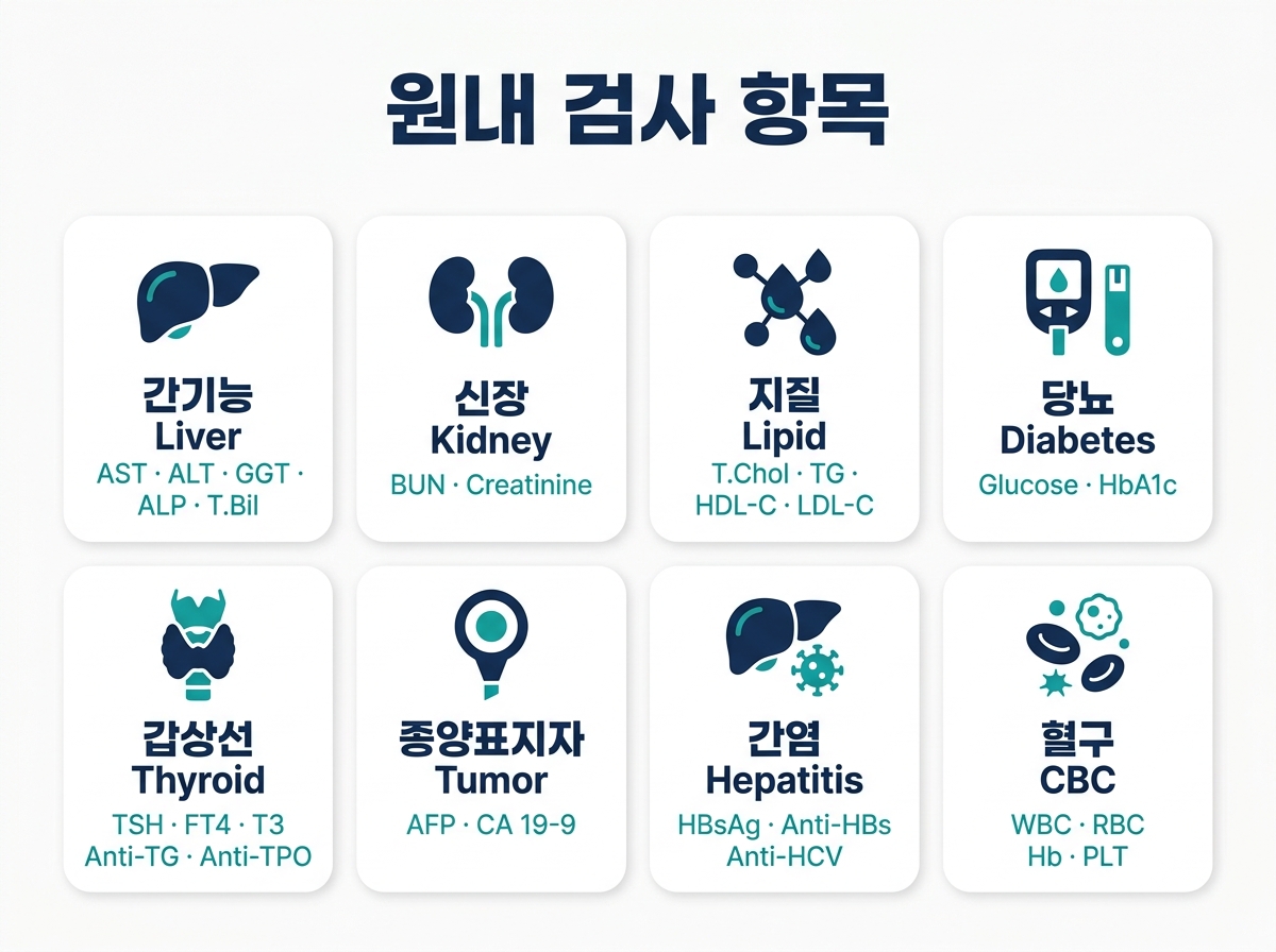 원내 검사 항목 — 간기능·신장·지질·당뇨·갑상선·종양표지자·간염·혈구(CBC)